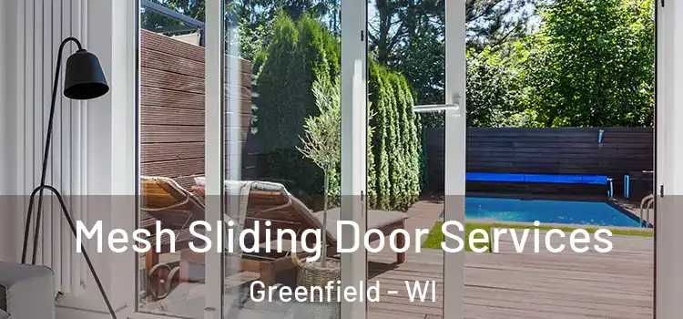 Mesh Sliding Door Services Greenfield - WI